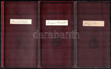 cca 1930-40 10 db okmány, többségében iskolai bizonyítvány és egy fényképes személyazonossági igazolvány, utóbbi sérült