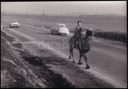 cca 1962 Vándorcirkusz egyik városból a másikba, 1 db vintage fotó, ezüst zselatinos fotópapíron, 16,5x23,8 cm