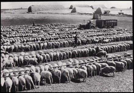 cca 1965 Szovjet kolhoz, ,,aki beáll a sorba, nem marad éhes', 1 db jelzés nélküli, vintage fotó, ezüst zselatinos fotópapíron, 16x23,3 cm