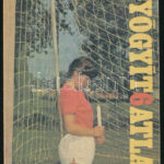 Végh Antal: Gyógyít6atlan? DEDIKÁLT! Bp., 1986., Lapkiadó Vállalat. Kiadói kissé kopott papírkötés.
