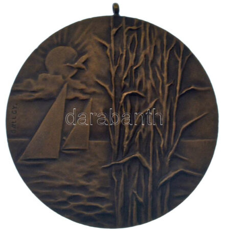 Gáll Gyula (1939-?) DN 'Velencei-tavi Sportversenyek' kétoldalas bronz emlékérem füllel (70mm) T:AU,XF kis ph