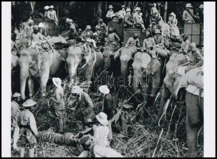 cca 1930 előtt készült felvételek és illusztráció elefántokról (tigrisvadászat elefánthátról, burmai elefántok importálása Amerikába, elefántbika a bozótban, 3 db modern nagyítás a néhai Lapkiadó Vállalat központi