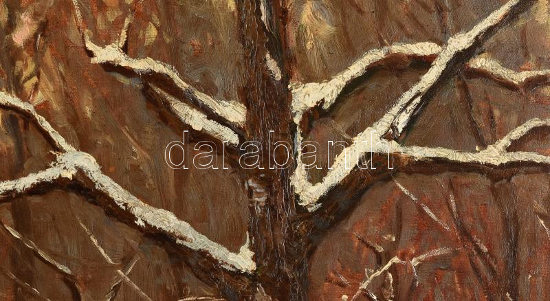Rainerné Istvánffy Gabriella (1875-1964): Téli táj. Olaj, vászon, jelzett, dublírozott. Dekoratív, sérült fakeretben, 70×100 cm KIZÁRÓLAG SZEMÉLYES ÁTVÉTEL, NEM POSTÁZZUK! / ONLY PERSONAL COLLECTION AT OUR OFFICE! - Image 2