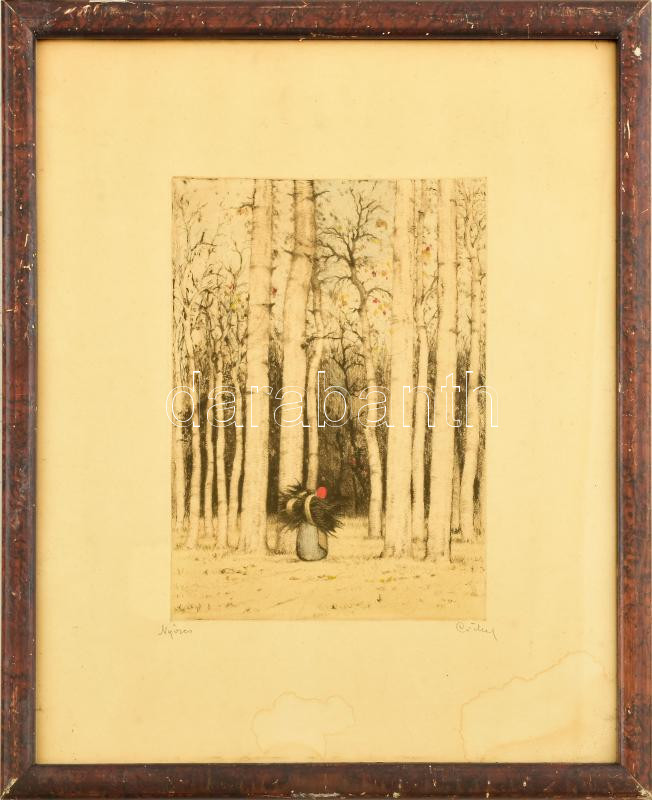 Csillag József (1894-1977): Nyíres. Színezett rézkarc. Üvegezett fakeretben. Lap széle foltos. 23x17,5 cm.
