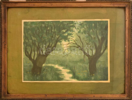 Nyáregyházi báró Nyáry Pál (?-?): Patak. Akvarell, papír. Jelezve jobbra lent. Üvegezett fakeretben, 16×23 cm