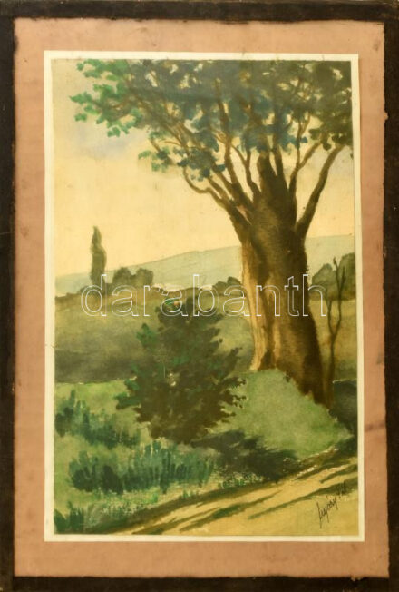 Nyáregyházi báró Nyáry Pál (?-?): Domboldal. Akvarell, papír. Jelezve jobbra lent. Üveg mögött, 25,5×17 cm