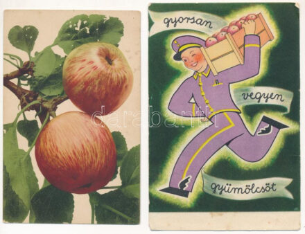 5 db RÉGI gyümölcsös motívum képeslap vegyes minőségben / 5 pre-1945 fruit motive postcards in mixed quality