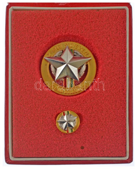 ~1970. 'Az Ipari Szövetkezet Kiváló Dolgozója' aranyozott, műgyantás fém kitüntető jelvény miniatűrrel, eredeti tokban T:UNC