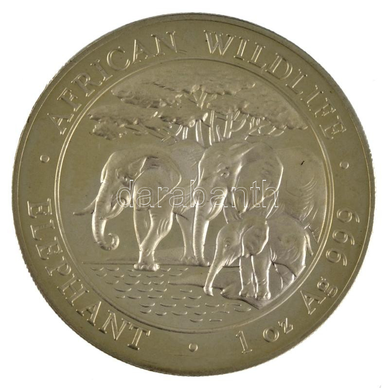 Szomália 2013. 100Sh Ag 'Afrikai vadvilág / Elefánt' (31,27g/0.999) T:PP fo. Somali Republic 2013. 100 Shillings Ag 'African Wildlife - Elephant' (31,27g/0.999) C:PP spotted