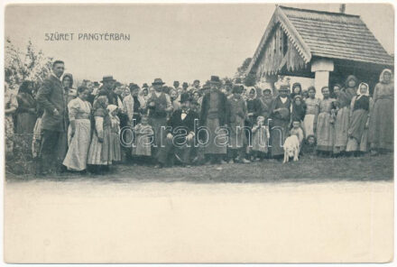 Pangyér-hegy (Monoszló), szüret Pangyérban, csoportkép szőlősgazdával, családdal, kutyával és a néppel