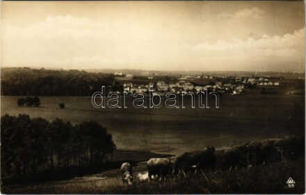 Hévízszentandrás (Hévíz), madártávlatból, legelő juhnyáj. Mérei Ignác kiadása