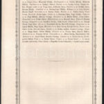 1867 Debrecen, emlékokmány az 1849-es hadjárat során elszenvedett sanyargatások okán - Image 4