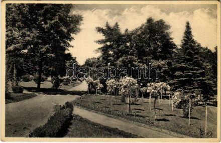 Budapest XII. Siesta szanatórium, gyógyüdülő. Ráth György utca 5. (EK)