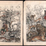 cca 1850 18 db elsősorban állatokat ábrázoló illusztráció, színezett acélmetszet, papír, részben foltos és kissé sérült, 24x16 cm - Image 3