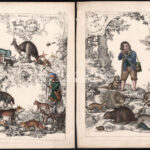 cca 1850 18 db elsősorban állatokat ábrázoló illusztráció, színezett acélmetszet, papír, részben foltos és kissé sérült, 24x16 cm - Image 4