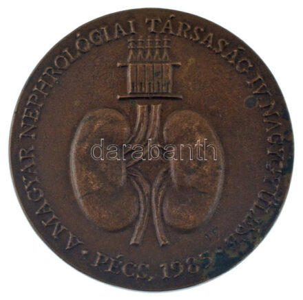 Trischler Ferenc (1945-) 1985. 'A Magyar Nephrológiai Társaság IV. Nagygyűlése - Pécs, 1985.' bronz emlékérem (84,5mm) T:XF patina