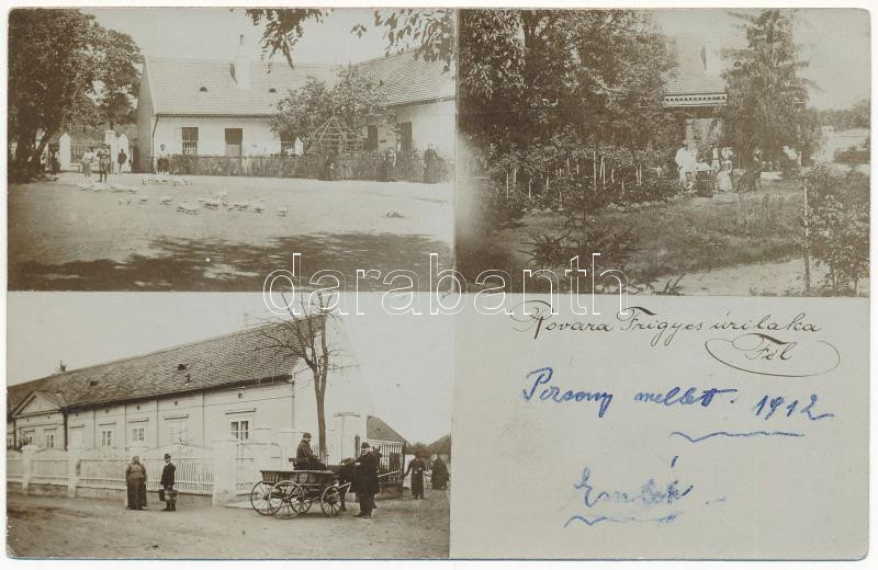 1912 Fél, Feilendorf, Tomasov (Pozsony, Bratislava); Rovara Frigyes gazda és szakíró úri laka (Rovarin rovarirtószer feltalálója), villa, kastély, lovaskocsi / villa of Frigyes Rovara (inventor of the insecticide Rovarin), castle, horse