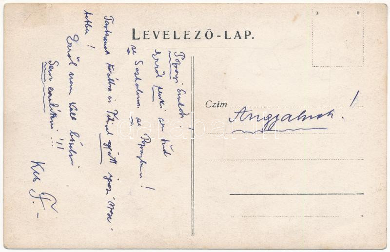 1912 Fél, Feilendorf, Tomasov (Pozsony, Bratislava); Rovara Frigyes gazda és szakíró úri laka (Rovarin rovarirtószer feltalálója), villa, kastély, lovaskocsi / villa of Frigyes Rovara (inventor of the insecticide Rovarin), castle, horse - Image 2