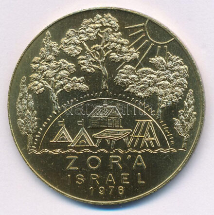 NDK 1976. 'Zor'a Israel 1976 / 75 éves a Zsidó Nemzeti Alap' bronz emlékérem (40mm) T:AU DRG 1976. 'Zor'a Israel 1976 / 75 Years of Jewish National Fund' bronze commemorative medallion (40mm) C:AU
