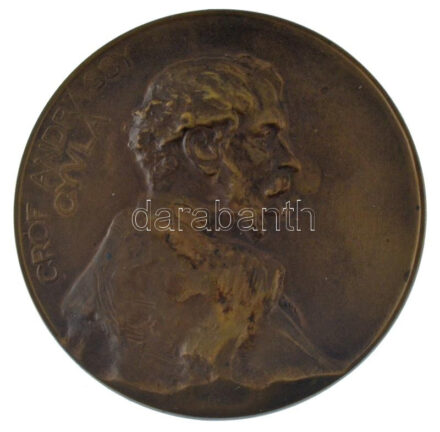 Telcs Ede (1872-1948) 1906. 'Gróf Andrássy Gyula / Szoboremlékének lepelhullása alkalmából 1906' bronz emlékérem (69mm) T:AU patina HP 6073.