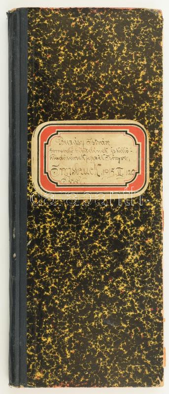 1915-1916 Innsbruck, Buzásy István borravaló bevételeinek és kellő kiadásainak jegyzékkönyve. Részletesen vezetett bevételi-kiadási füzet, korabeli félvászon-kötésben.