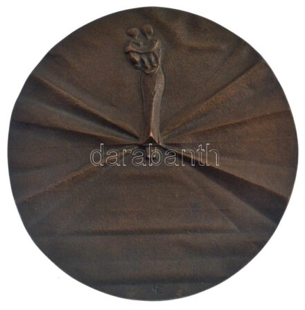 Ligeti Erika (1934-2004) DN Anyát és gyermekét ábrázoló egyoldalas bronz emlékérem (94mm) T:AU