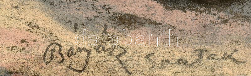 Bányász István, működött a XX. sz. első felében, 1924-ben Nagybányán tanult: Sárospataki híd. Pasztell, papír. Jelezve középen lent: Bányász, Spatak. Üvegezett fakeretben. 31,5x42 cm. - Image 2