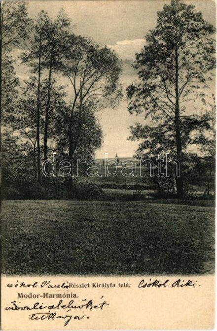 1908 Modor-Harmónia, Modra; Részlet Királyfa felé. Levius P.S. kiadása / view to Králová pri Senci (Rb)