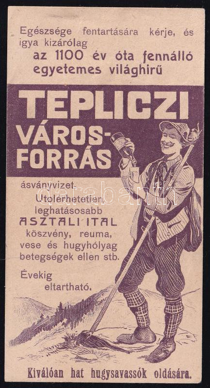 Tepliczi városforrás számolócédula