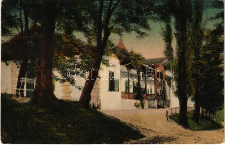 1918 Szliács, Sliac; Üdvözlégy szálloda. Molnár Vilmos kiadása / hotel, spa (EK)