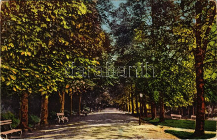 1917 Szliács, Sliac; Rusegger Allee / Rusegger sétány / promenade, park (EB)