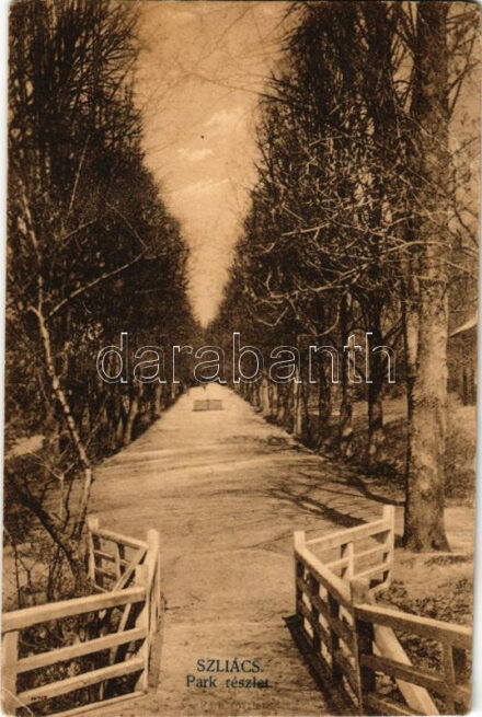 Szliács, Sliac; Park részlet / park (EB)