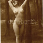 Meztelen erotikus hölgy / Vintage erotic nude lady. Luxe 20. - Non-PC