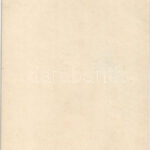 Meztelen erotikus hölgy / Vintage erotic nude lady. Luxe 20. - Non-PC - Image 2
