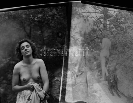 Női aktok, 2 db fotónegatív, 6×4,5 cm