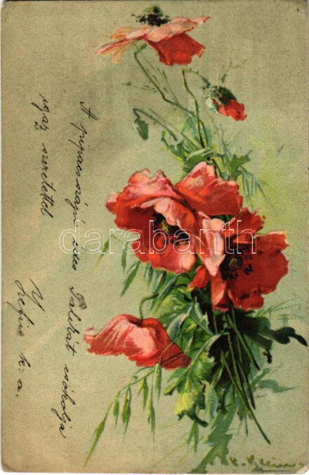 Pipacsok. Dombornyomott litho üdvözlet / Poppy flowers. Embossed litho greeting (EK)
