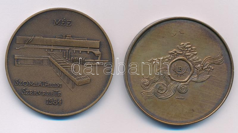 Kiss Sándor (1925-1999) 1984. 'Szombathelyi Képtárépítő Egyesület / Derkovits Gyula' kétoldalas bronz emlékérem (42,5mm) + Sebestyén Sándor (1949-2010) DN 'VII. Fogathajtó Világbajnokság Szilvásvárad - Eger' bronz emlékérem - Image 2