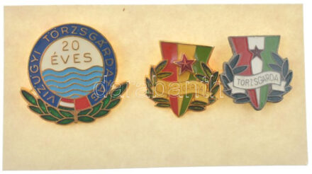~1970-1980. 'Törzsgárda' (2xklf) műgyantás fém jelvények (~18x19mm) + '20 éves Vízügyi Törzsgárdatag' műgyantás fém jelvény (26x25mm) T:XF