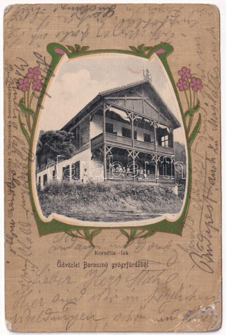1902 Borosznófürdő, Brusno-kúpele (Borosznó, Brusznó, Brusno); Kornélia lak. Kiadja Lechnitzky O. fénynyomdája 107. sz. Szecessziós virágos litho keret / villa, spa. Art Nouveau, Floral, litho frame (EB)