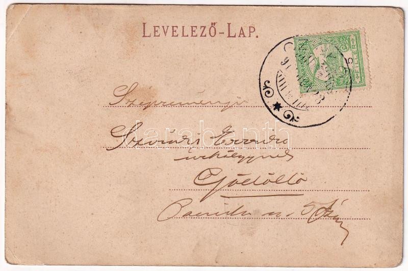 1911 Budapest XVI. Cinkota, villa. Goldmann Henrik kiadása (EK) - Image 2