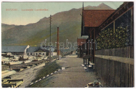 Brezoi, Brezoiu (Valcea); Locuintele Lucratorilor / workers' colony of the sawmill (fl)