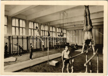 Budapest XII. Testnevelési Főiskola tornaterem, belső. Képzőművészeti Alap Kiadóvállalata. Magyar Foto, Seidner Zoltán / Gymnasium of the College of Physical Education