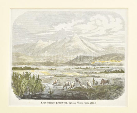 cca 1860 Kenyérmező Erdélyben, színezett fametszet paszpartuban.16x13 cm