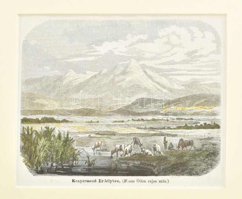 cca 1860 Kenyérmező Erdélyben, színezett fametszet paszpartuban.16x13 cm