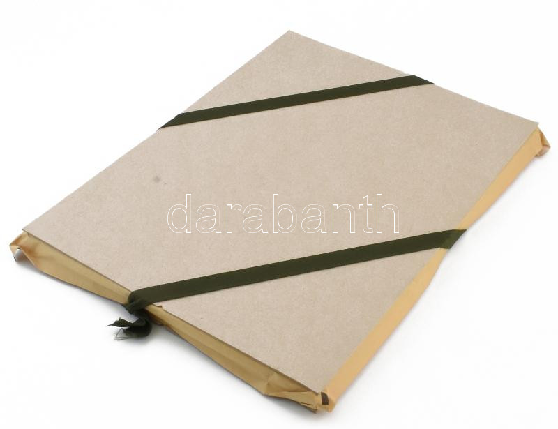 Herbarium: Delphinium / Sarkantyúfű, Keret méret: 45x32.5cm, Sorszám: 98 / 500, Gyűjtési idő: 2021, Gyűjtési hely: Fót, Virágos Pagony kertészete, Tervezi és készíti: Covellin - Image 4