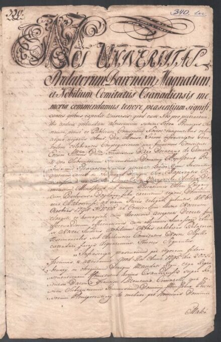 1795 Csanád vármegye határozata a Mindszenti uradalom Porgány-ér és Bogdány-fok halászati joga ügyében, latin nyelven, pecséttel, szakadt, 3 beírt oldal, 6 sztl. lev.