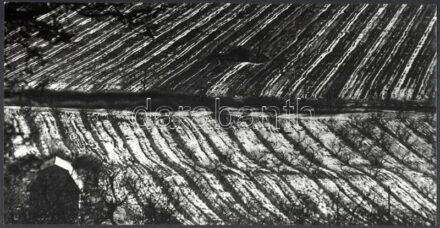 cca 1979 Giltán Tivadar budapesti fotóművész ,,Télutó" című vintage fotóművészeti alkotása, pecséttel jelzett, ezüst zselatinos fotópapíron, 20,5x39,8 cm