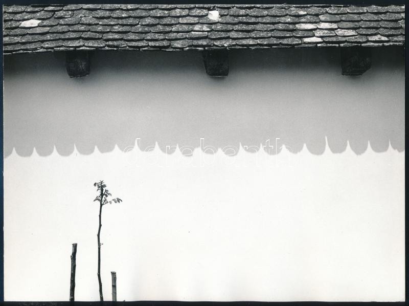 1974 Apatoczky István: ,,Déli napfény" című, feliratozott, vintage fotóművészeti alkotása, ezüst zselatinos fotópapíron, a kép a Népművelési Intézet által, Baján megrendezett központi fotós alkotótelep (eredeti fotókat tartalmazó) albumából származik, 18x