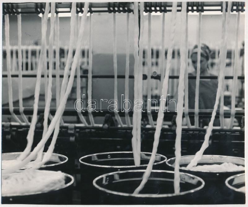 1970 Szabó Ferenc nevével jelzett vintage fotóművészeti alkotás (Fonoda), ezüst zselatinos fotópapíron, a kép a Népművelési Intézet által, Dunaújvárosban megrendezett központi fotós alkotótelep (eredeti fotókat tartalmazó) albumából származik, 17x20,8