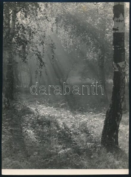 cca 1950 Jaiger Károly soproni fotóművész feliratozott, vintage fotóművészeti alkotása (Ködös reggel), ezüst zselatinos fotópapíron, 23,2x17 cm